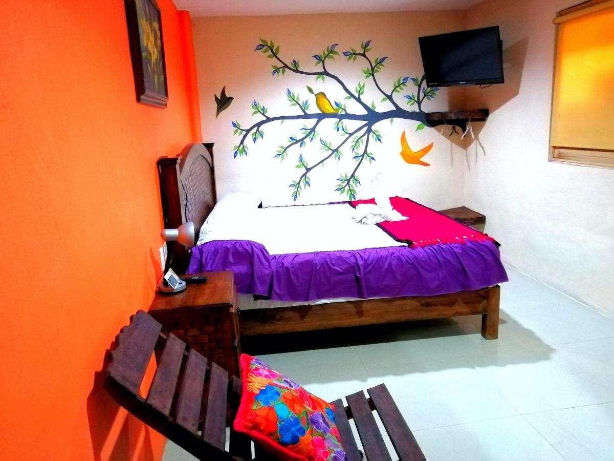Hotel Amayal San Cristóbal de Las Casas 외부 사진