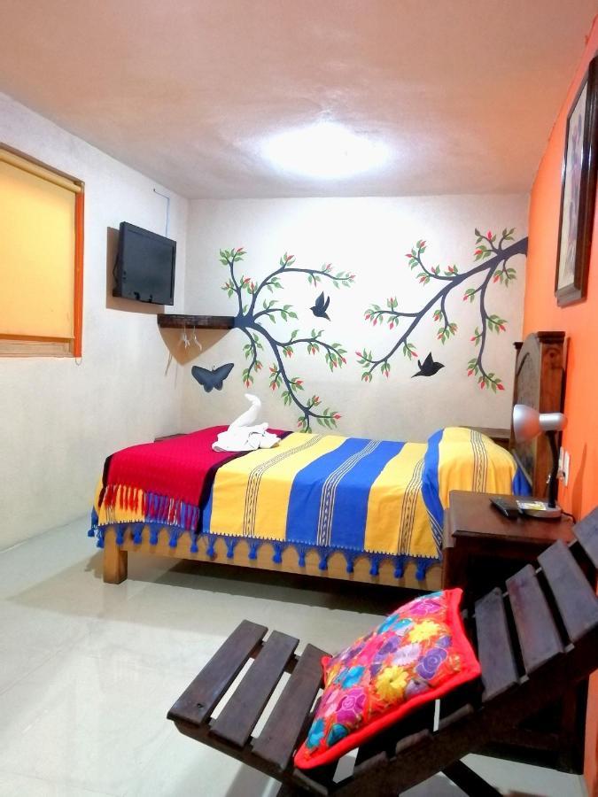 Hotel Amayal San Cristóbal de Las Casas 외부 사진
