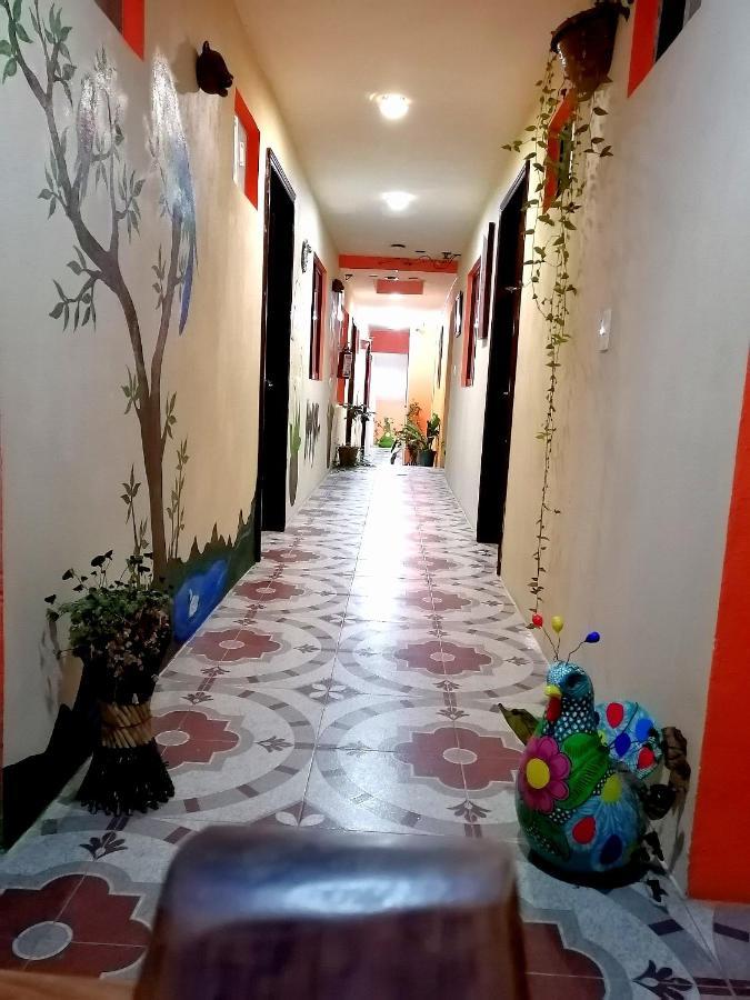 Hotel Amayal San Cristóbal de Las Casas 외부 사진