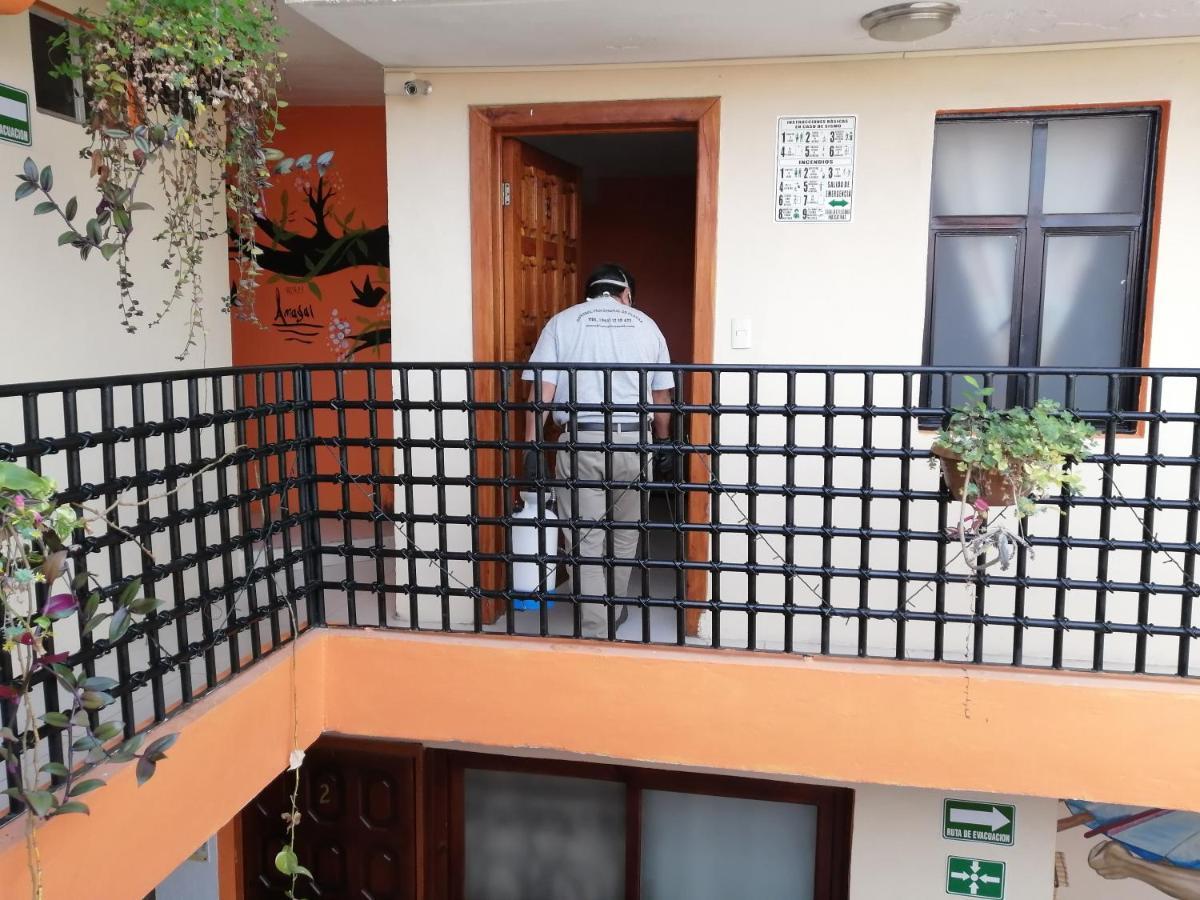 Hotel Amayal San Cristóbal de Las Casas 외부 사진