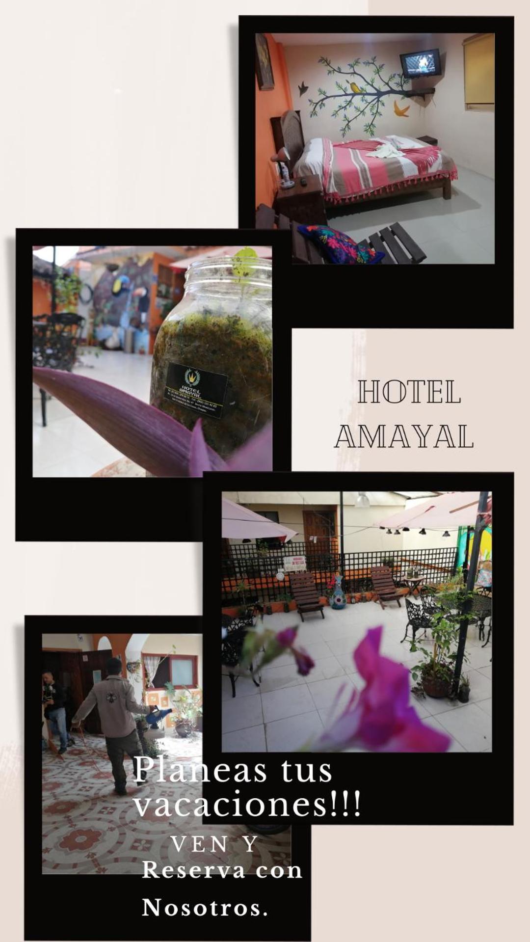 Hotel Amayal San Cristóbal de Las Casas 외부 사진